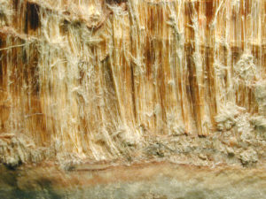 A Magnified View of Deadly Asbestos Fibres